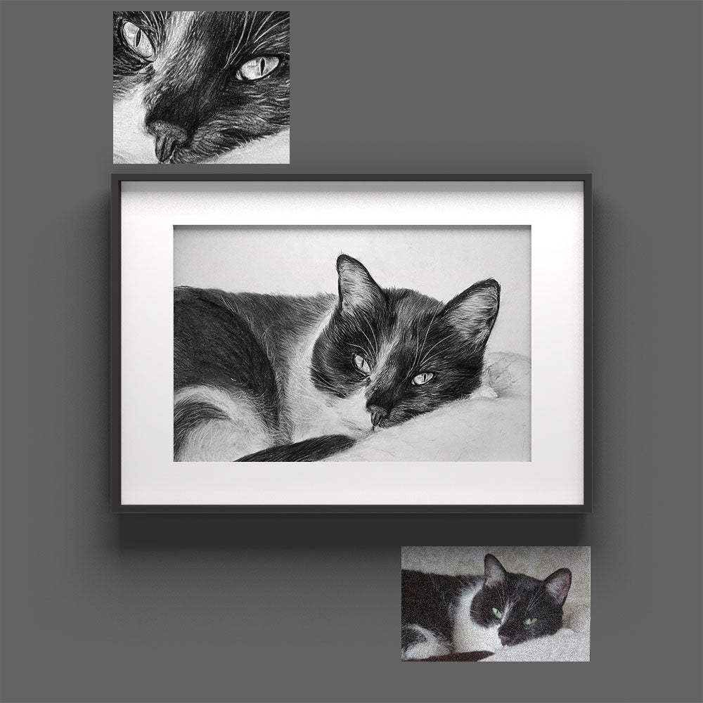 Custom hand-drawn pet portrait by Sketchus