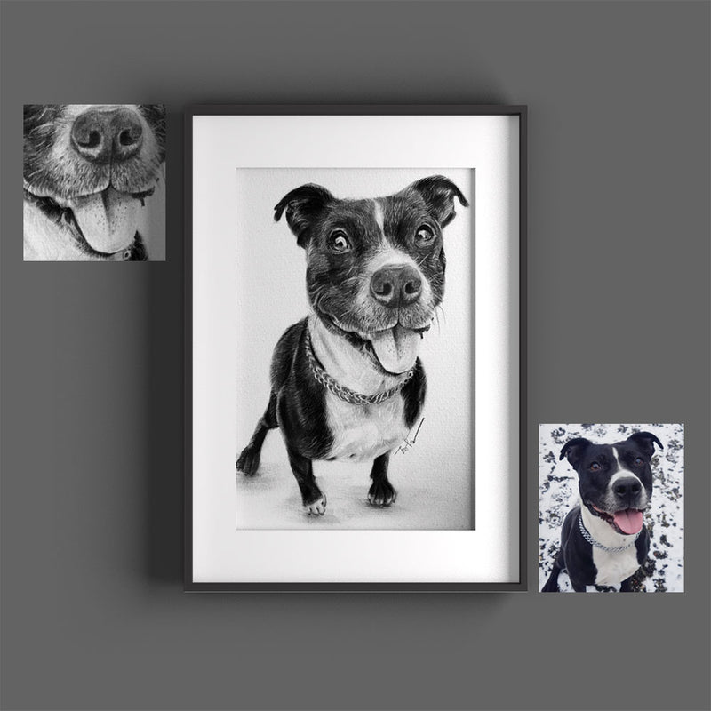 Hund malen lassen Hundeportrait Hundezeichnung Pencil Sketchus Portrait
