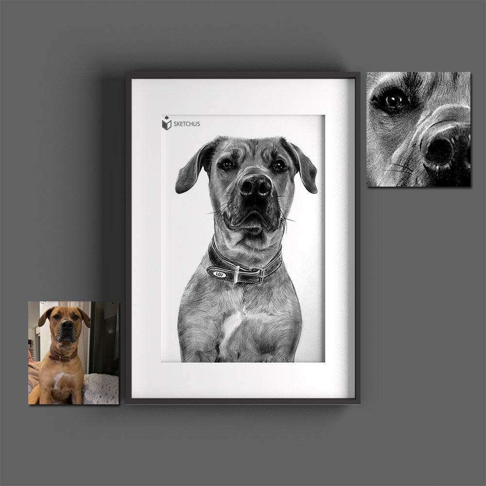 Have dog portraits drawn✏️Dog drawing✏️Sketchus