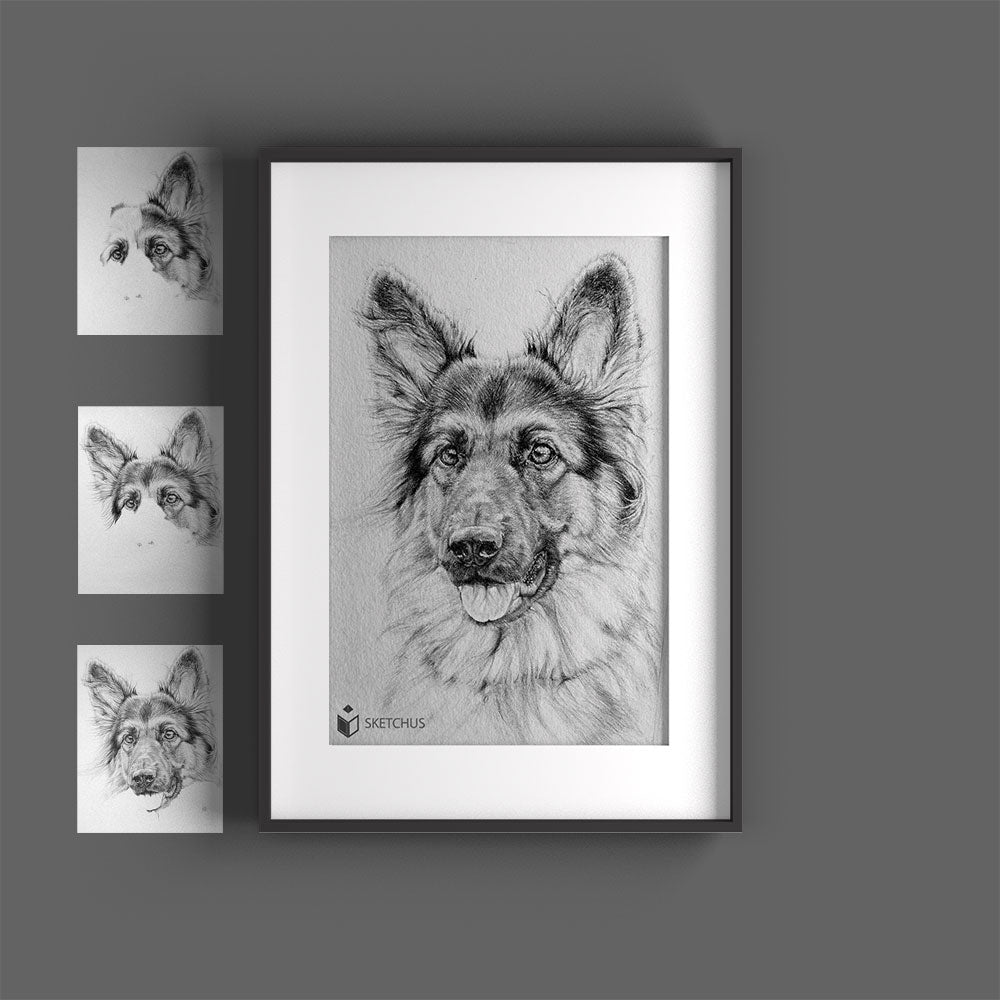 Have dog portraits drawn✏️Dog drawing✏️Sketchus