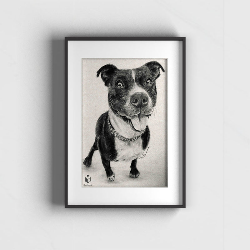 Tiere draw -Sketchus
