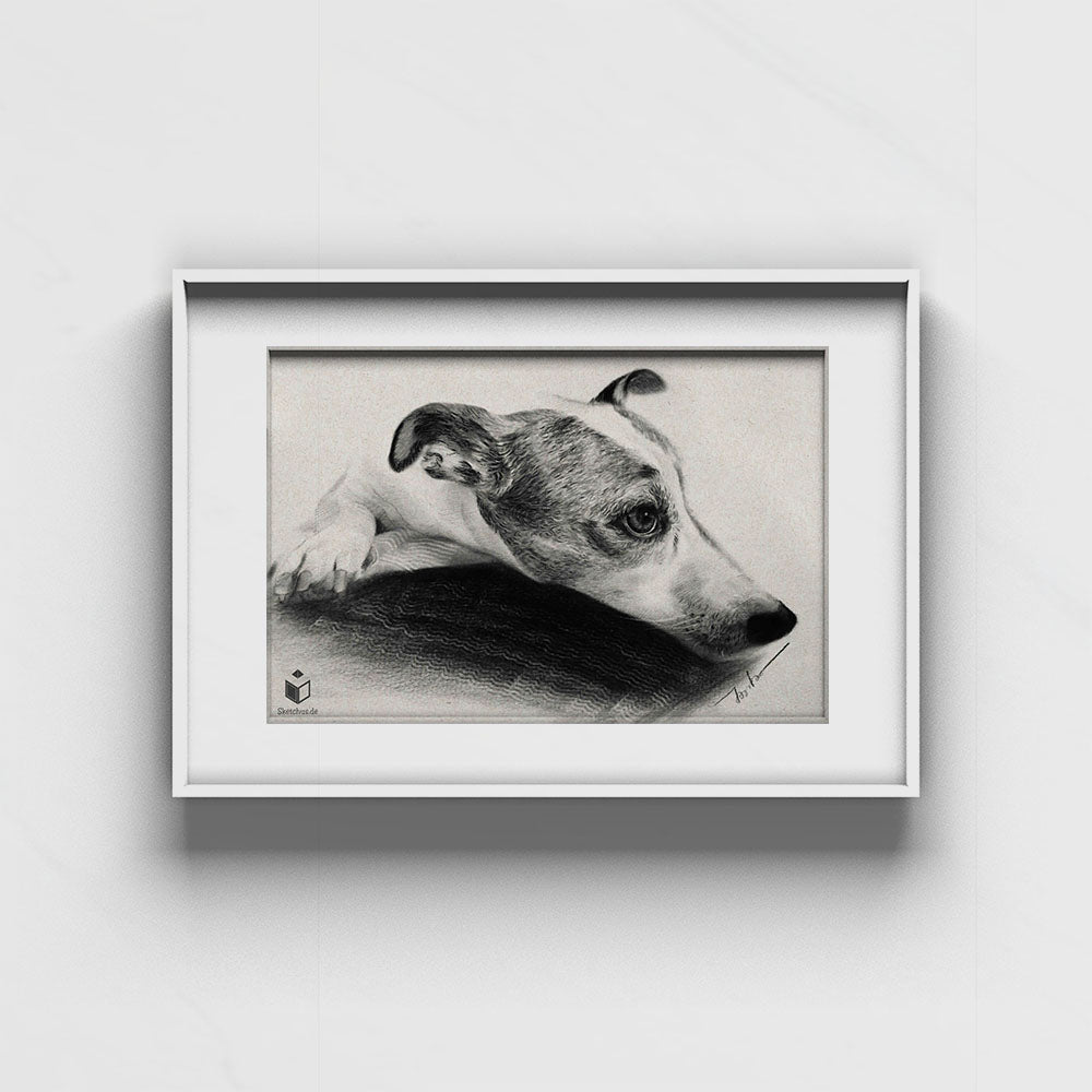 Tiere draw -Dog Portrait