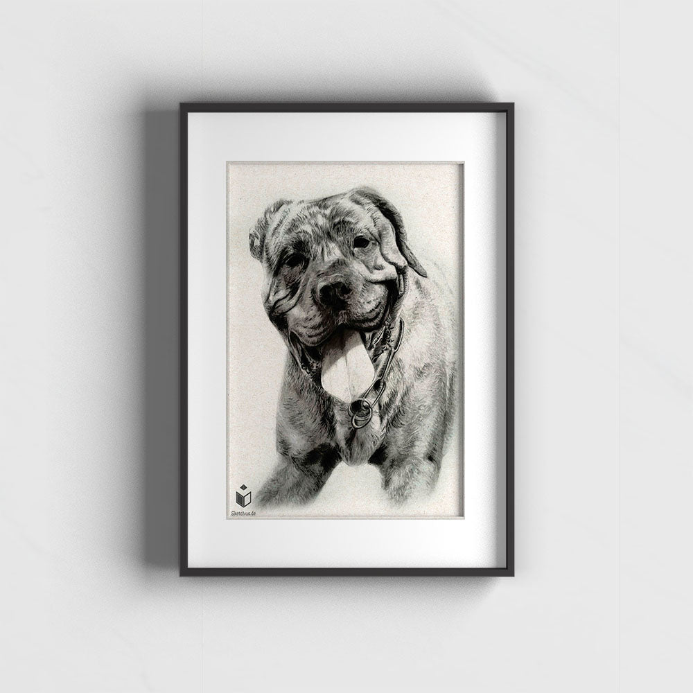 Custom Hand-Drawn Portrait From Photo