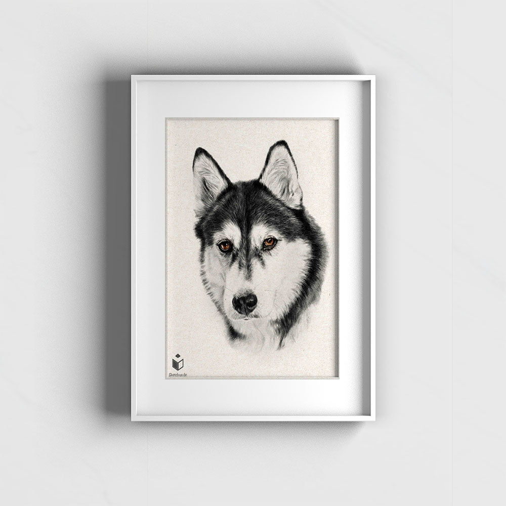 Tiere draw -Sketchus