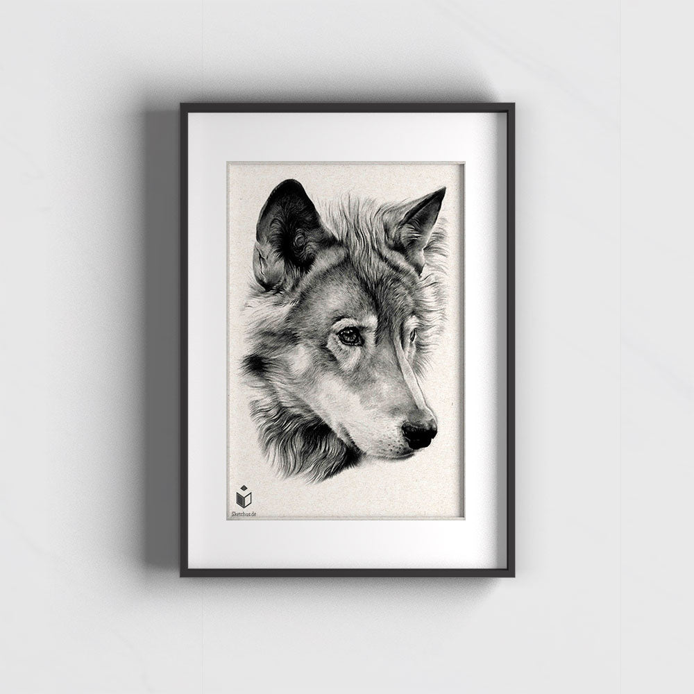 Hunde draw -Sketchus