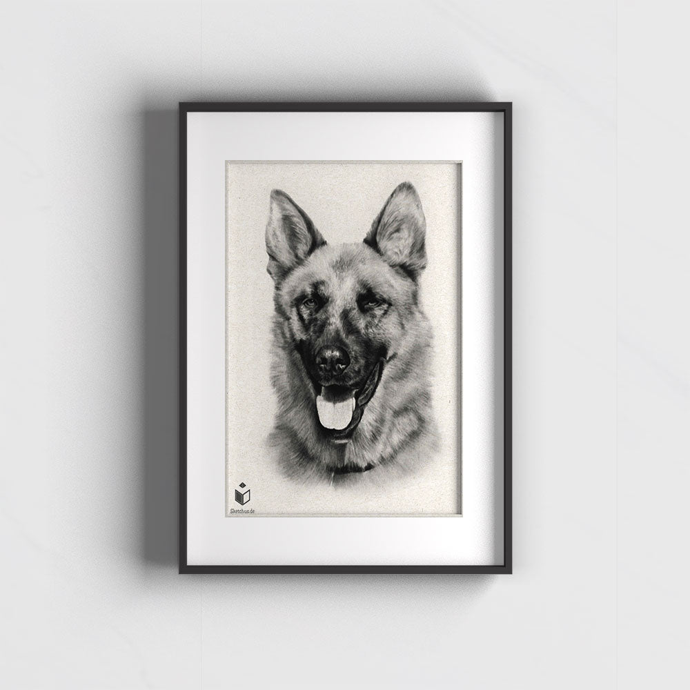 Tiere draw -Dog Portrait Hundezeichnung