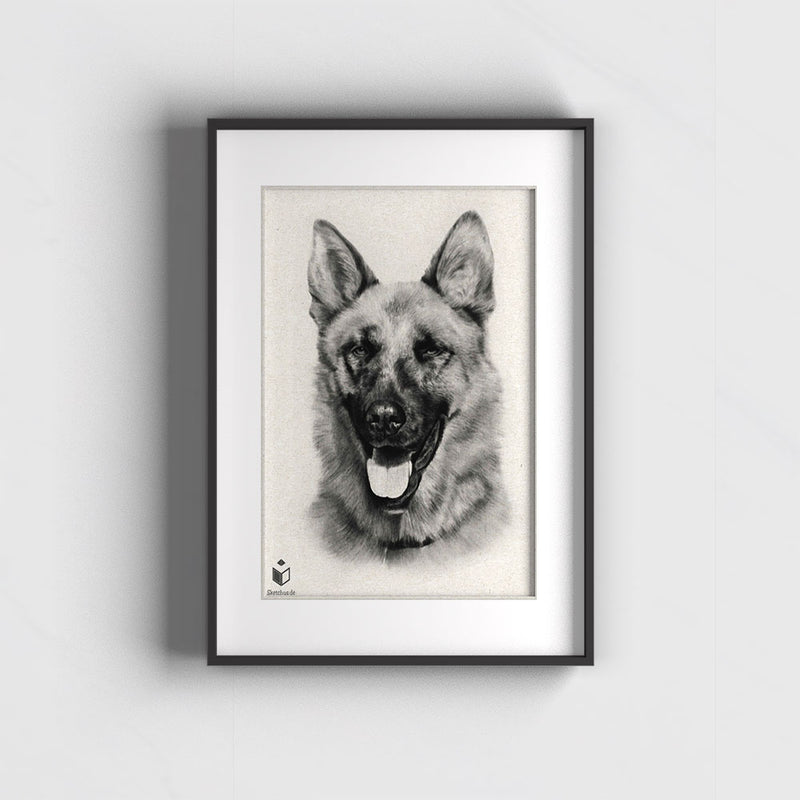 Tiere draw -Hundeportrait Hundezeichnung