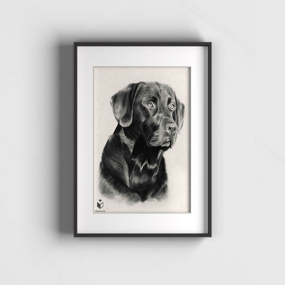 Tiere draw -Sketchus