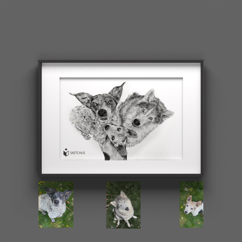 dog gezeichnet Hundezeichnung Pencil pictures hundekopf paint