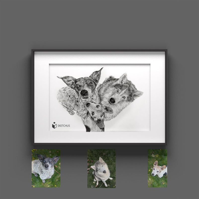 dog gezeichnet Hundezeichnung Pencil pictures hundekopf paint