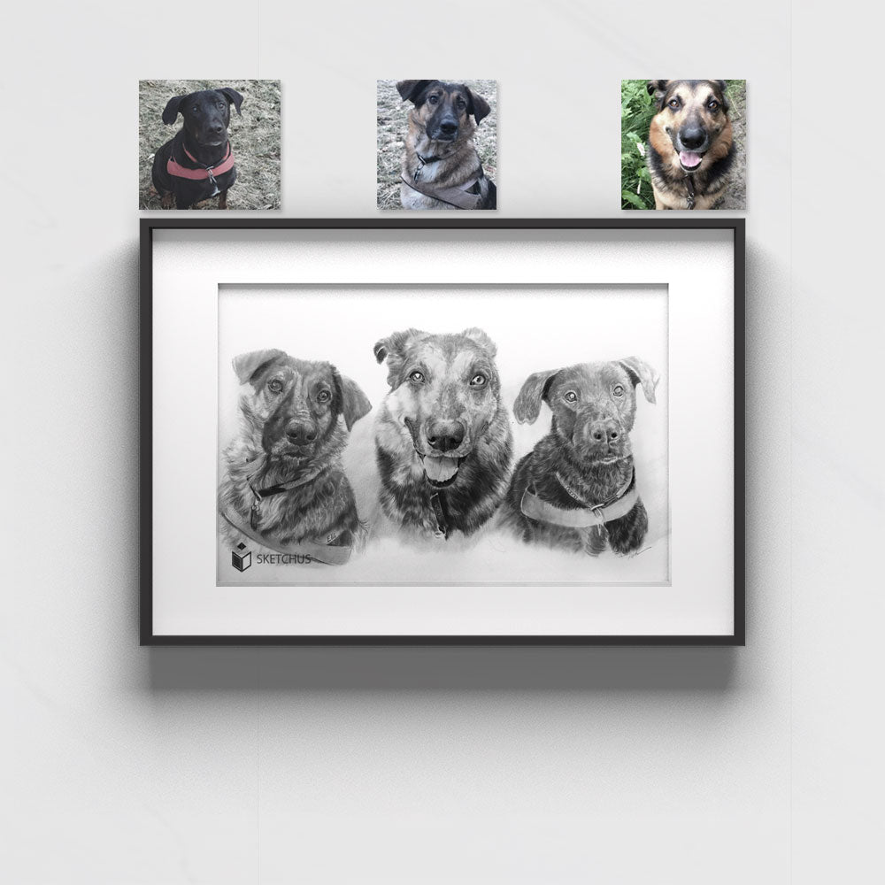 Dog Portraits draw Pencil Hundezeichnung Sketchus Portrait