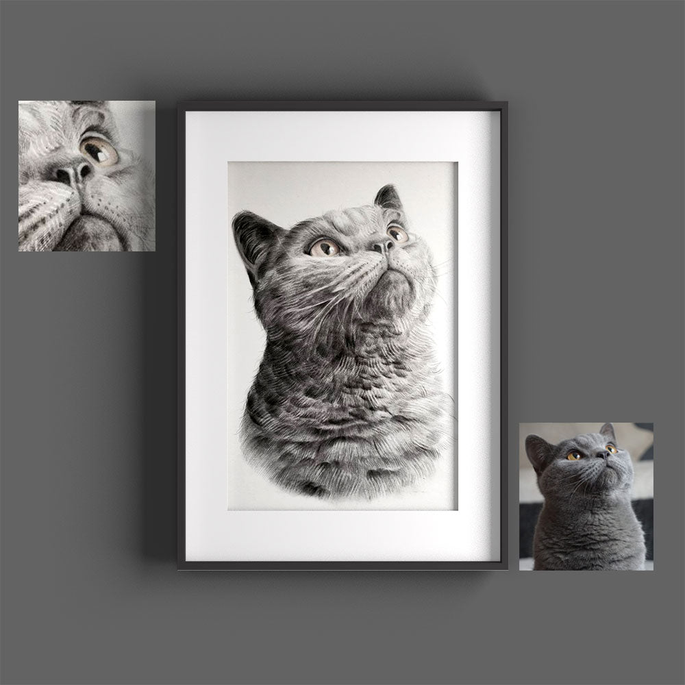 Cat Portrait gemalt Katzen Portrait paint & draw Sketchus Team
