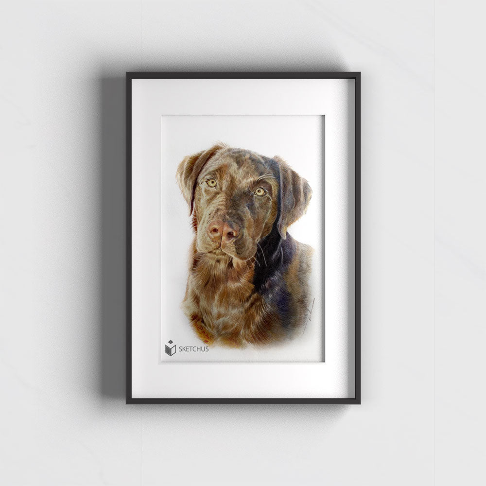 Dog Portrait Hundezeichnung Hand-Drawn Portrait