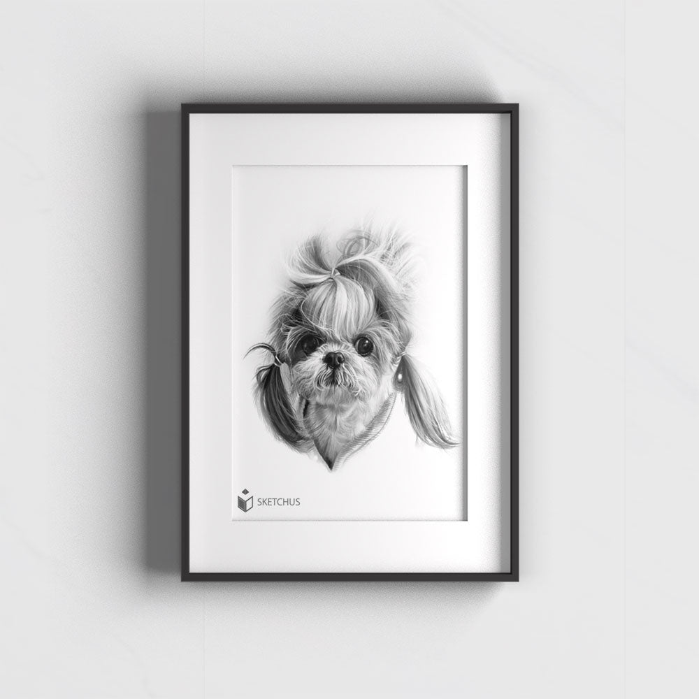 Dog Portrait