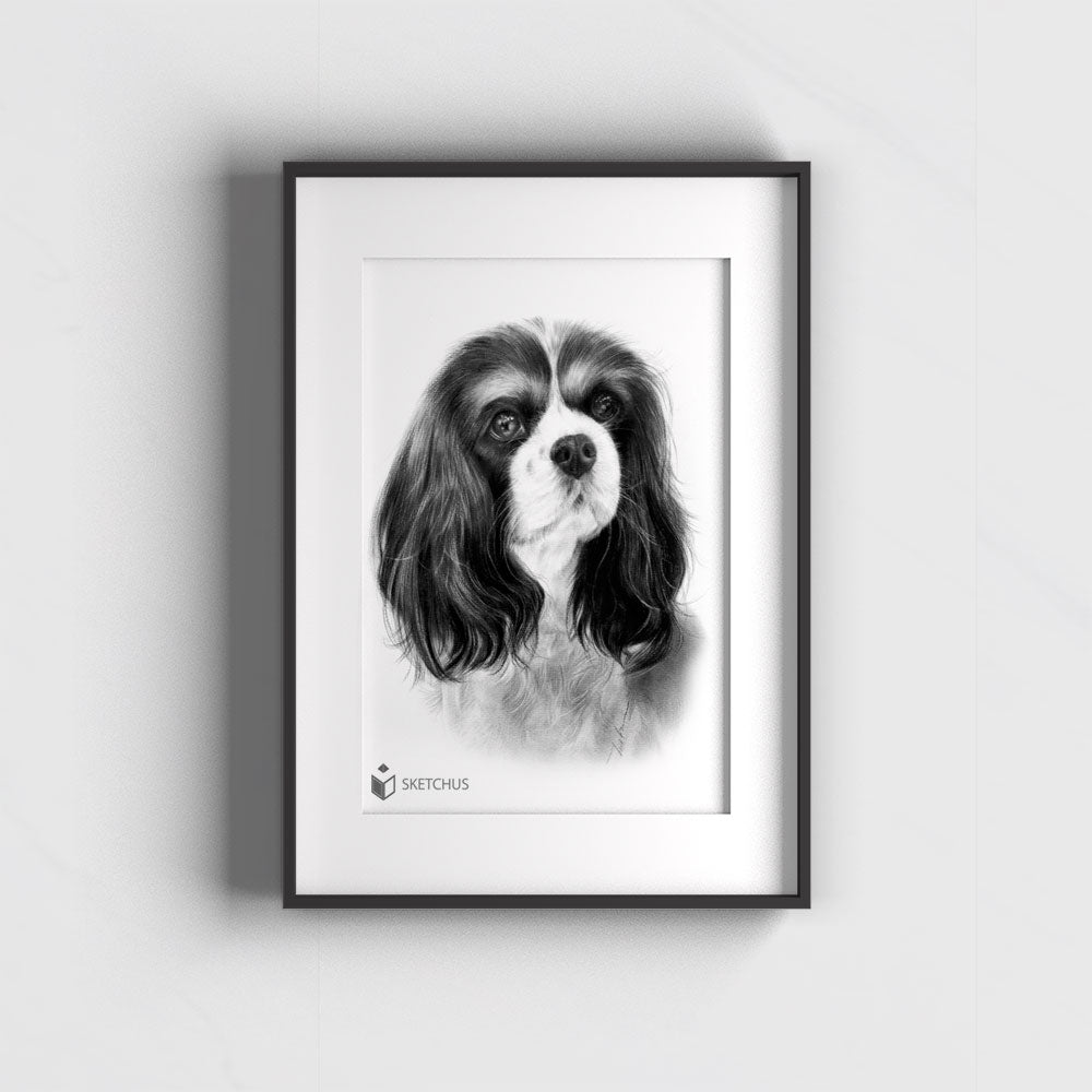 Dog Portrait