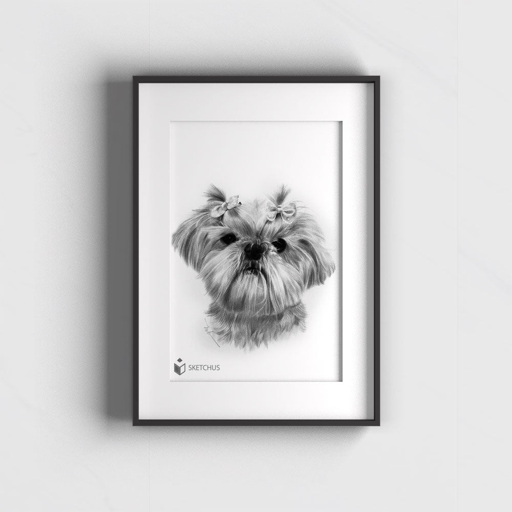 Dog Portrait