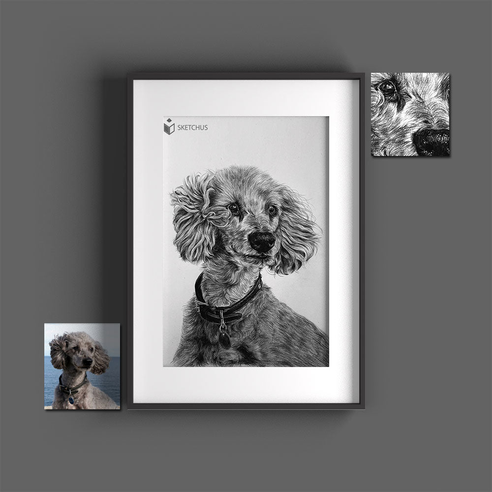 Custom hand-drawn pet portrait by Sketchus