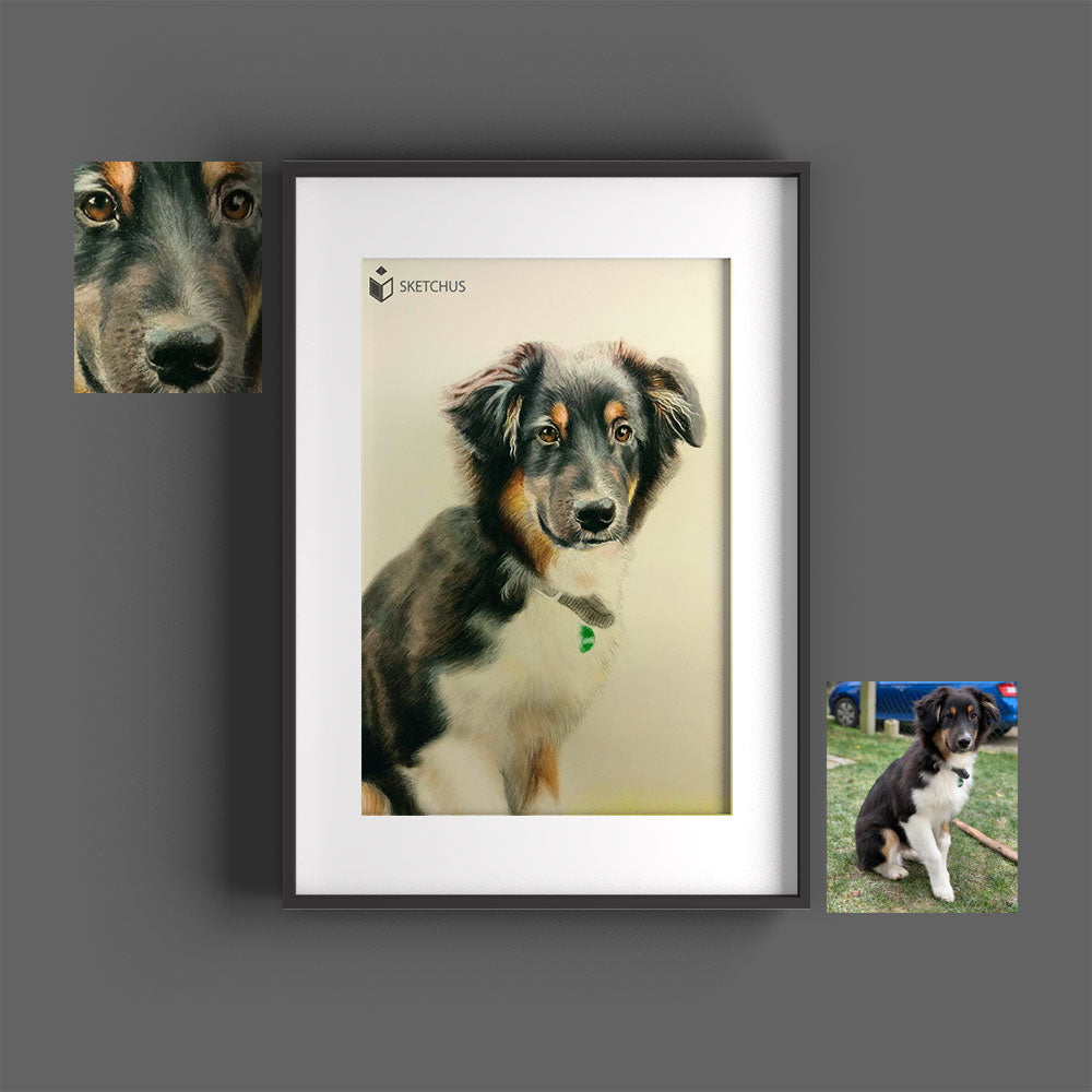 Pet Portraits nach vorlage tierzeichnungen pastell farbe tiere draw tierbilder gemalt Sketchus TierCreate a Custom Portrait pet paint pet portrait