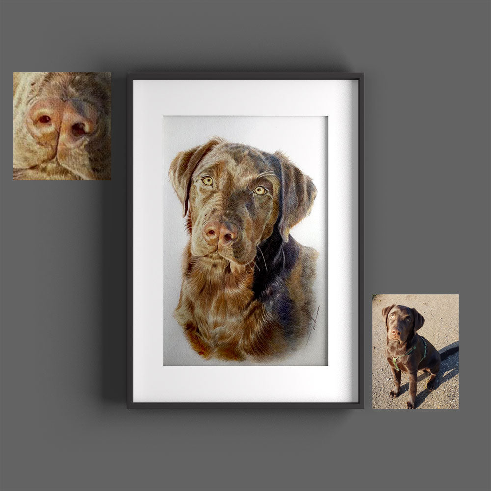 Custom hand-drawn pet portrait by Sketchus