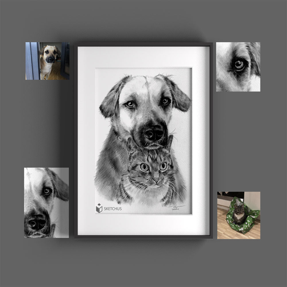 Tier draw Pet Portraits nach reference photo Tierzeichnung dog cat
